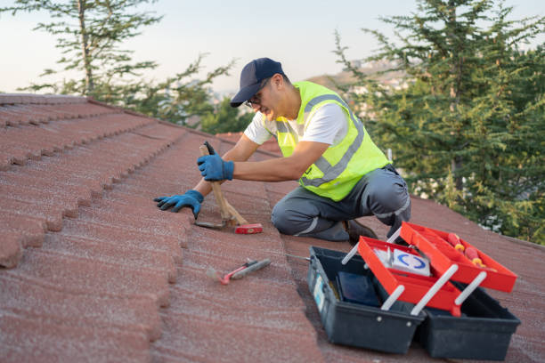 Best Roof Maintenance Services  in Halsey, OR