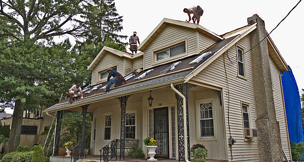 Best Flat Roof Repair Services  in Halsey, OR
