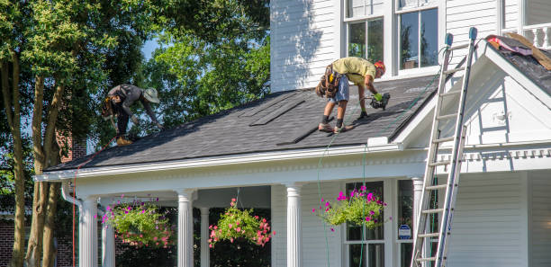 Best Roof Gutter Cleaning  in Halsey, OR