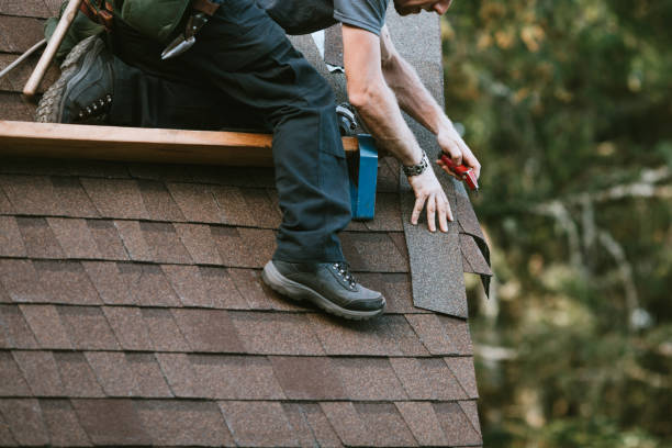Best Roofing Contractor Near Me  in Halsey, OR